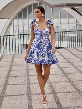 NWT No Pise La Grama PAPELON DRESS IN ORQUIDEA AZUL PRINT Size 0